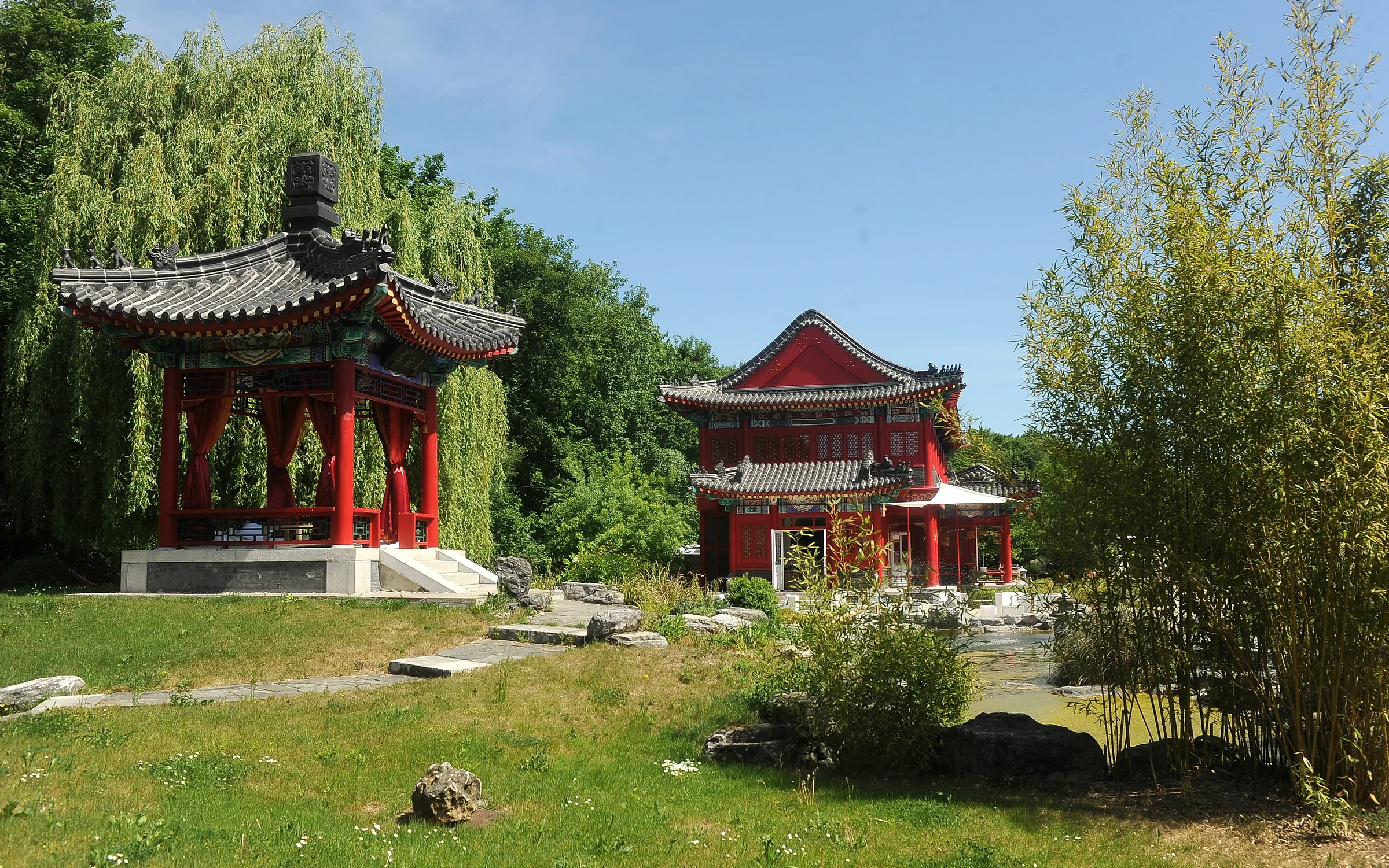 Der rote Pavillon und das Palastgebäude des Ming China Center hinter Trauerweide und Bambus, davor der Teich.